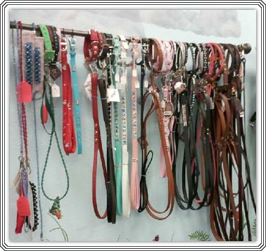 Botique Product Dog Leashes and Collars
